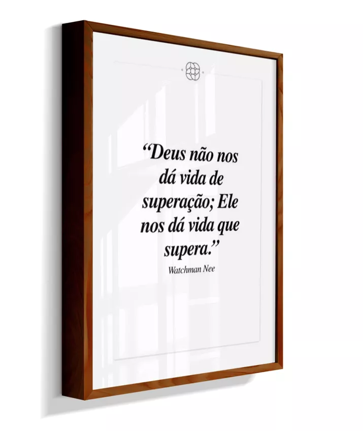 Nee - Vida que supera